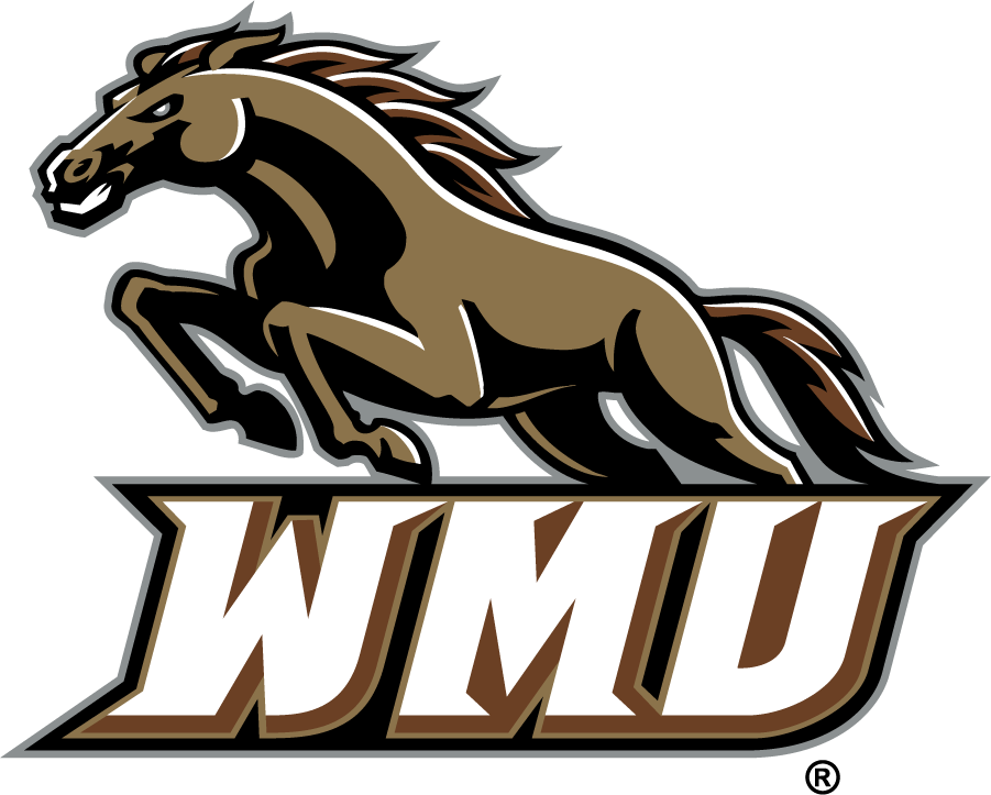 Western Michigan Broncos 1998-2016 Secondary Logo diy iron on heat transfer